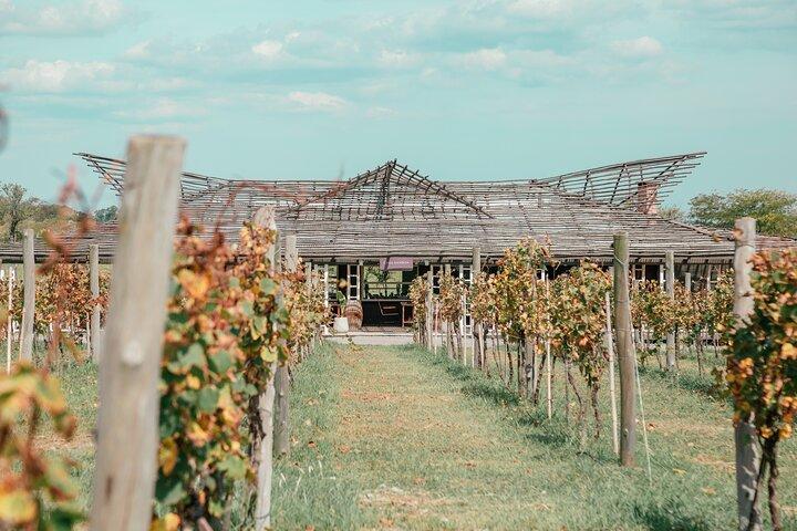 Winery and Tasting Experience in Buenos Aires
