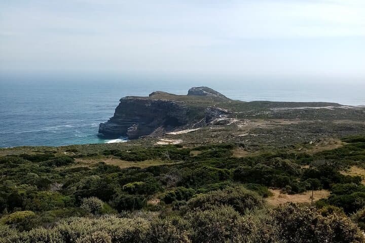 Small Group tour to Cape of Good Hope and Boulders Beach Penguin