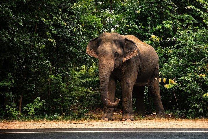 8 Days Private Vacation in Sri Lanka