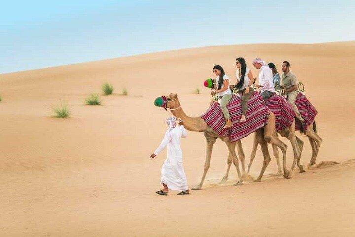 Dubai Desert Safari With Camel Ride and Sand Boarding