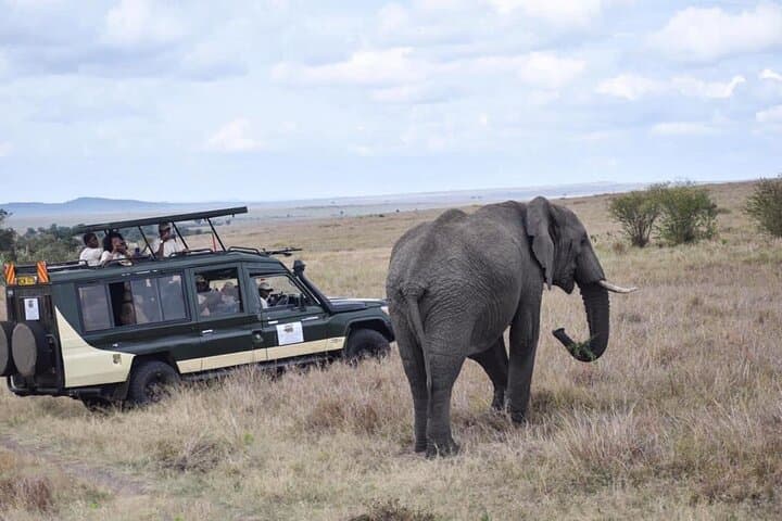 6 Day Nairobi-Amboseli-Maasai Mara Private Semi Luxury Tour