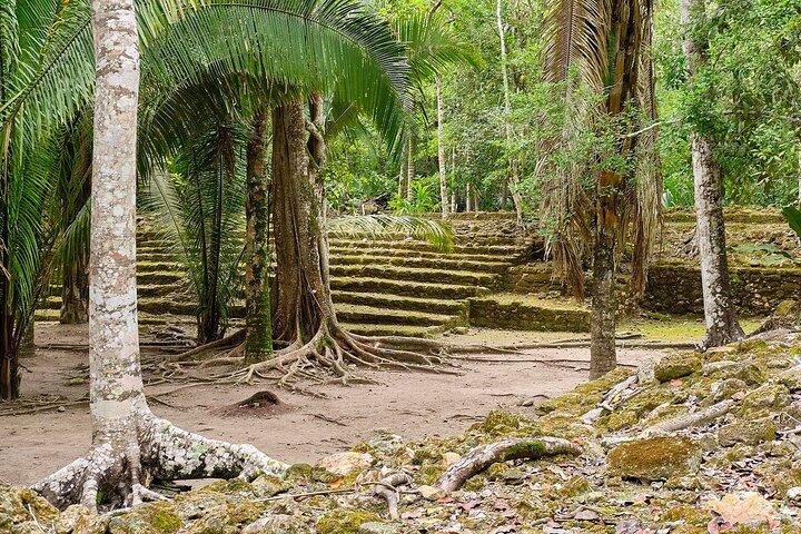 Private Tour to Chacchoben Mayan Temples & Beach