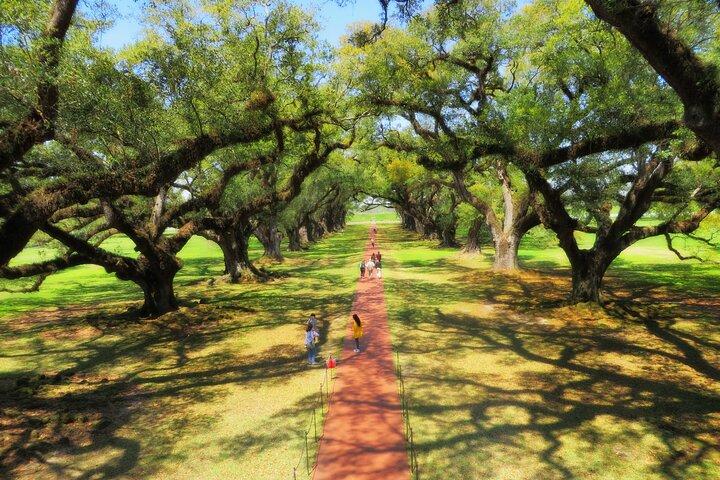 Oak Alley Plantation Tour with Transportation from New Orleans