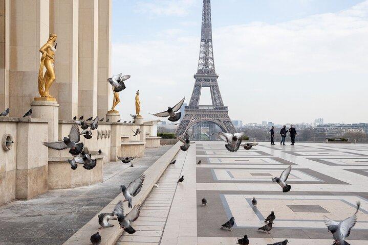 Full-Day Private Tour in Paris with Driver Sightseeing tour