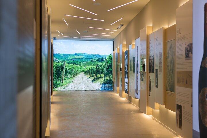 Valpolicella Wine Experience at Montresor winery