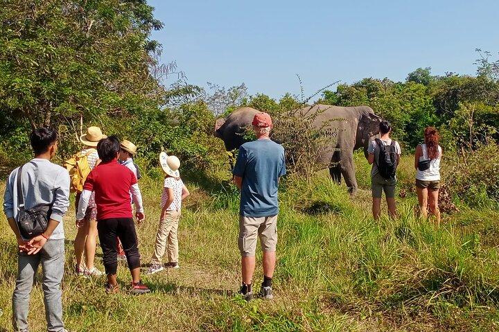 Kulen Elephant Forest and Tonle Sap Lake by Private Tour