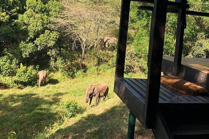 10 Days Luxury Kenya Big 5 Wildlife Adventure Private Tour