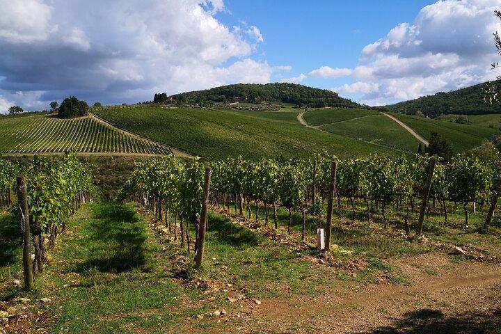 Private Wine Tour Tuscany half day Limousine Service Florence