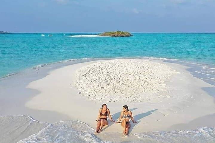 Mnemba Island Swim with Dolphins and Snorkeling (Sea food Lunch)