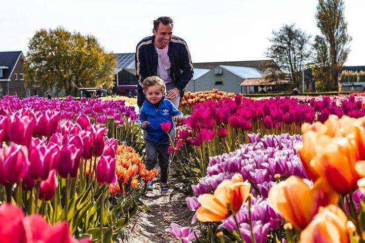 Private Keukenhof Gardens and Tulip Fields Tour from Amsterdam