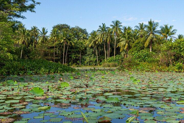 Pulau Ubin. Last Village in Singapore
