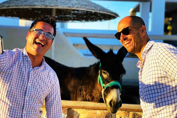 Smooth and Fun Taste of Santorini Private Tour