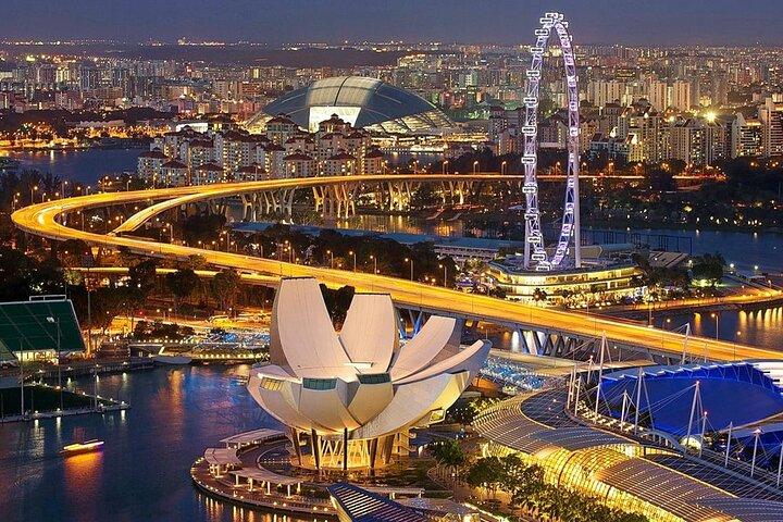 Private Singapore Sightseeing Tour with Singapore River Cruise