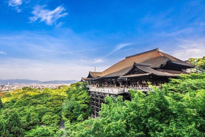 Kyoto, Osaka, Nara Full Day tour by Car English speaking Driver