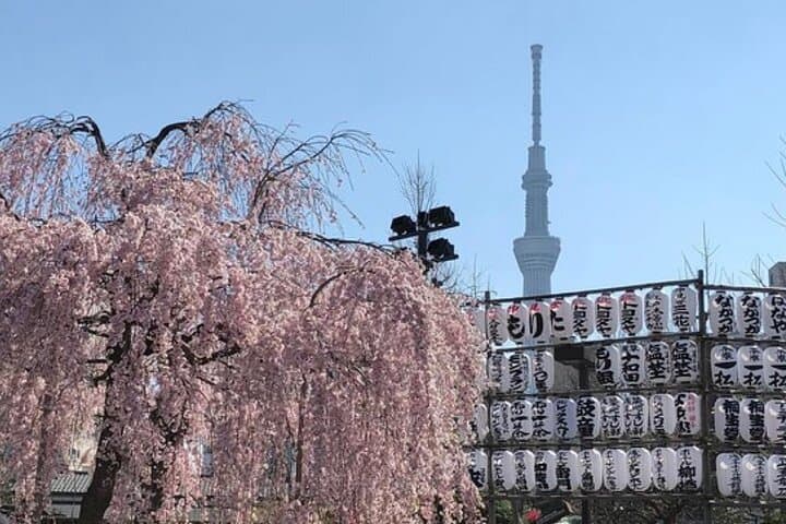 Tokyo Private Day Tour by Car with English speaking Driver Guide