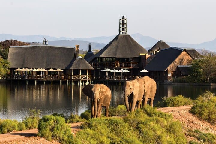 2 Day Small Group Garden Route Big 5 Safari Tour from Cape Town