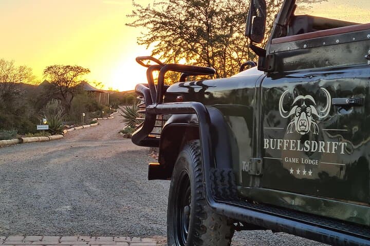 2 Day Small Group Garden Route Big 5 Safari Tour from Cape Town