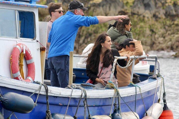 Howth Coastal Boat Tour (Ireland's Eye Ferries 50 mins trip)