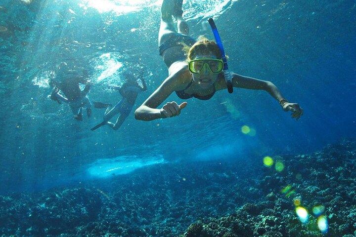 Full Day Tour Isla Marietas with Meals and Open Bar