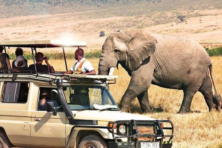 3 Days Samburu National Park private safari all inclusive