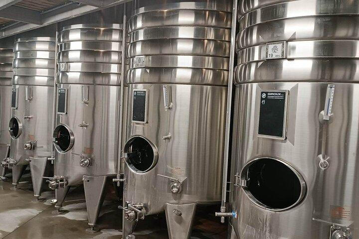 Private Full Day Tour Avignon & Wine Tasting Chateauneuf du Pape