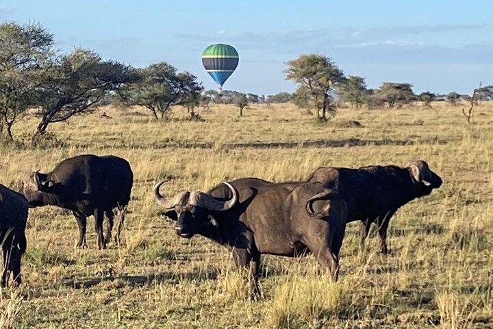 6 Days Tanzania National Parks camping group Tour
