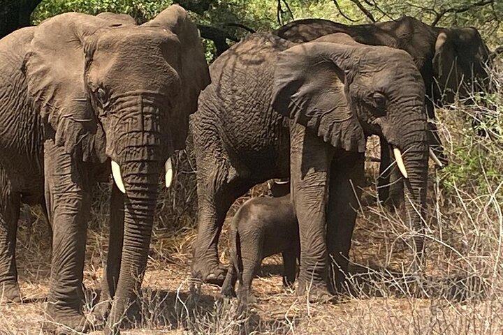 6 Days Tanzania National Parks camping group Tour