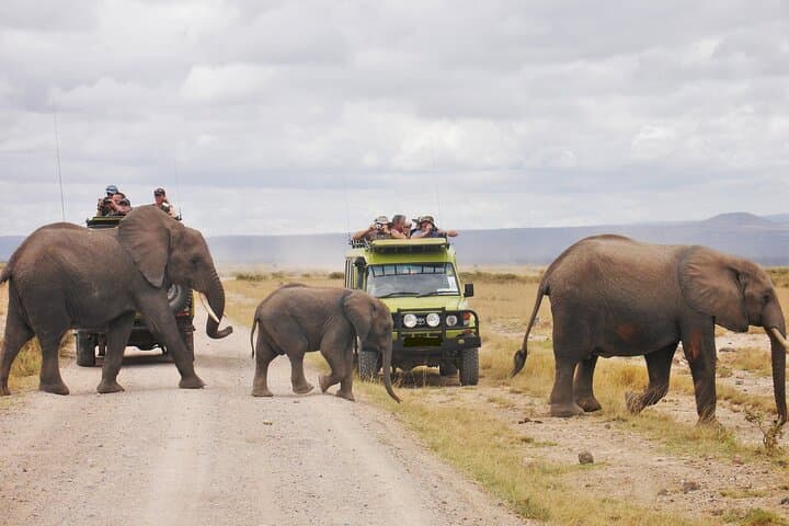 2 days Aberdare National Park Luxury Lodge Safari
