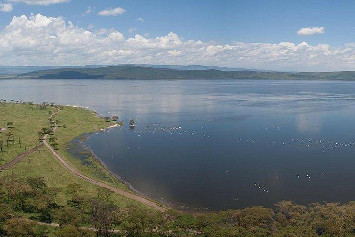 3 Days Birdwatching Luxury Safari