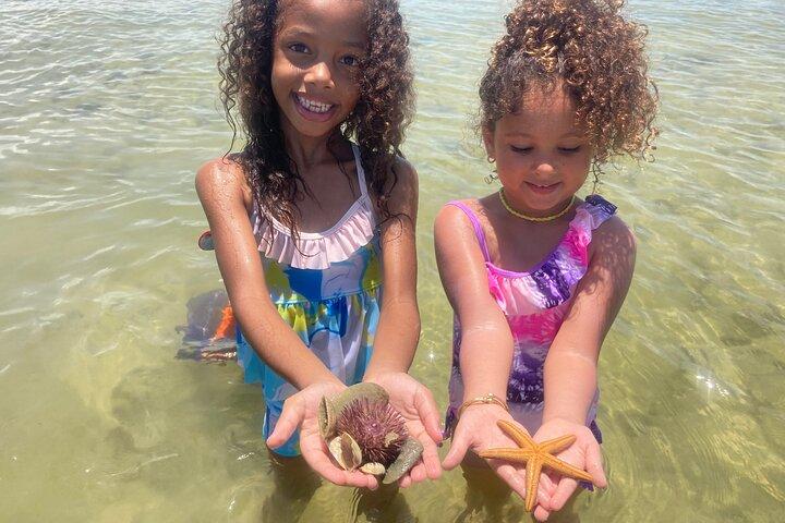 Marco Island Wildlife Sightseeing and Shelling Tour