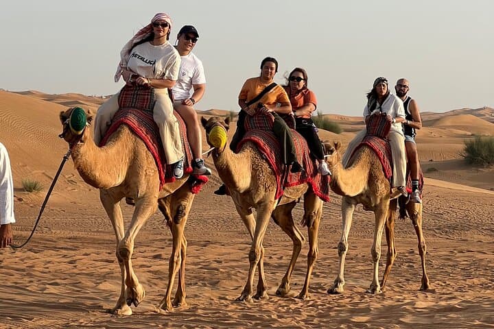 Sunset Safari with BBQ Dune Drive Camel Ride & Dune Buggy option