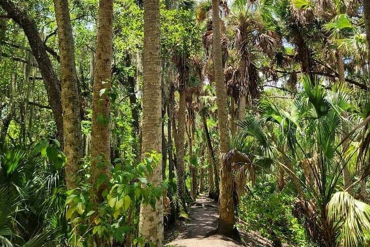 Guided Day Hike Through Florida's wild Backcountry.