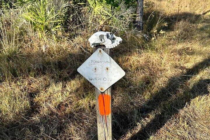 Guided Day Hike Through Florida's wild Backcountry.