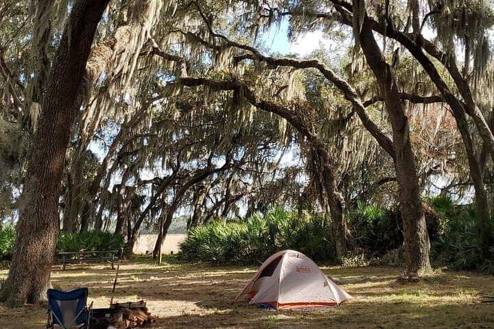 Guided Day Hike Through Florida's wild Backcountry.