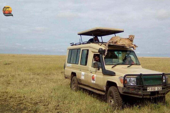 Group Safari 7 Days in Tanzania's Main Parks
