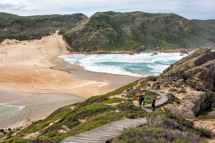 4 Day Garden Route & Addo National Park Tour from Cape Town