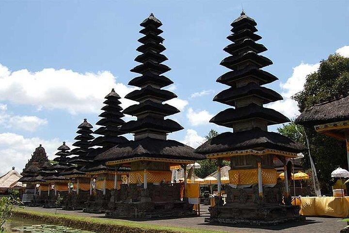 Private Tour Bali Swing & Visiting Temples in Bali