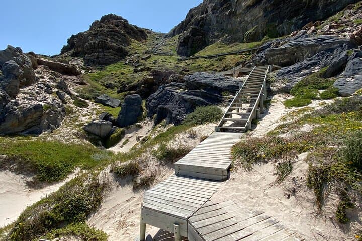 Full Day Private Tour to Boulders Beach from Cape Town