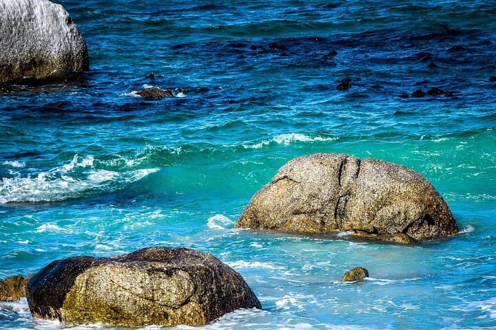 Full Day Private Tour to Boulders Beach from Cape Town