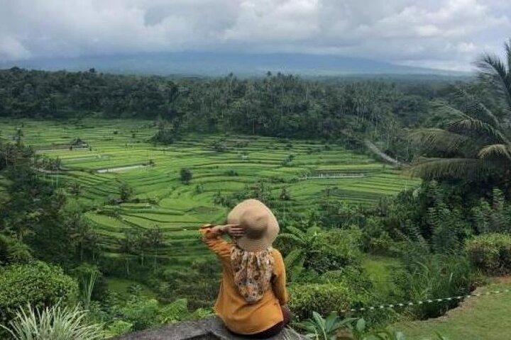 Bali Highlights Customizable Private Day Tour