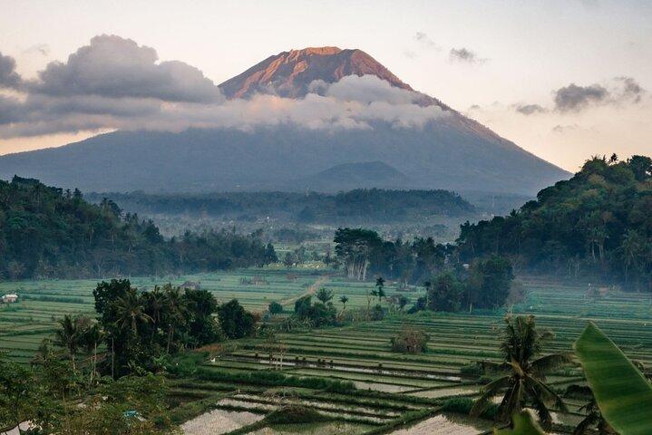 Bali Highlights Customizable Private Day Tour