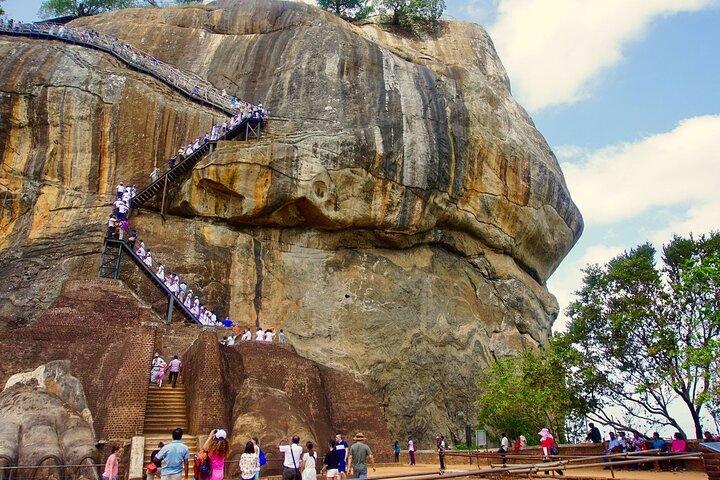 Sigiriya, Dambulla & Habarana Safari Tour from Colombo | Budget