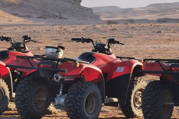 Full Day Aquila Safari Quad Bike on Cape Town Private Tour