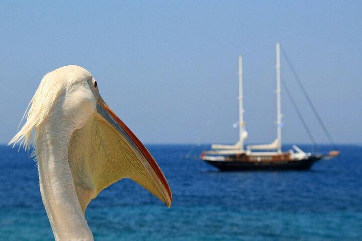 2-day trip from Athens to Santorini and Mykonos