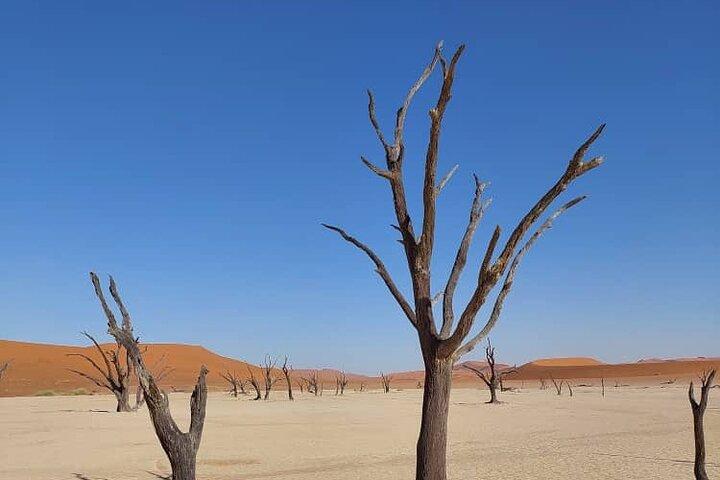 3-Day Sossusvlei & Deadvlei Shared Desert Tour from Windhoek