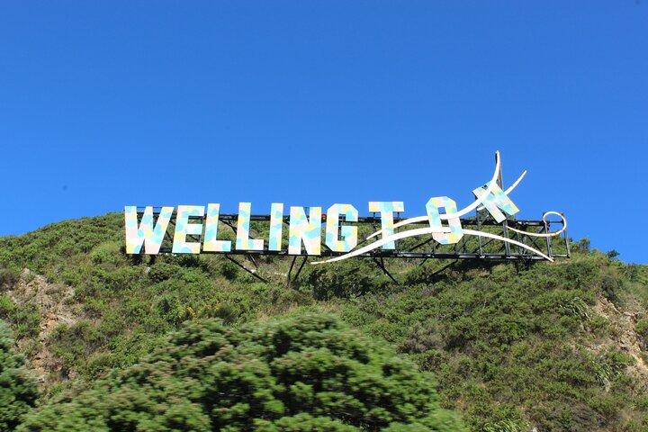 Wellington City and Sea: Private Tour in Electric Tesla SUV