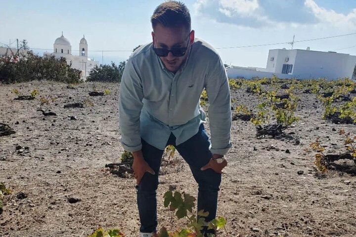 Santorini: Must-See & Winery Visit Private Tour