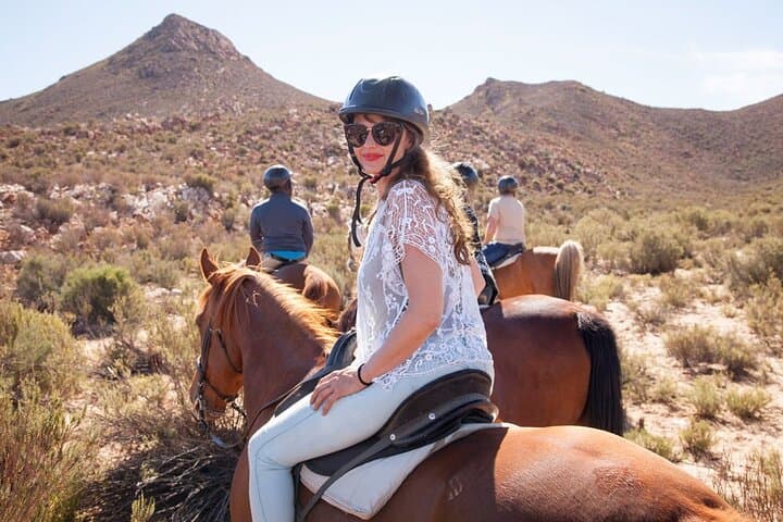 Cape Town Horseback Full Day Safari tour