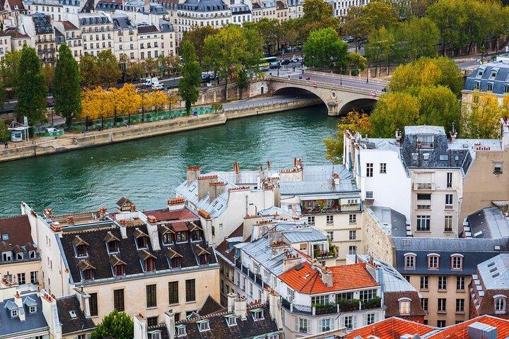 VIP Paris in a Day: Montmartre, Louvre, Île de la Cité, Cruise