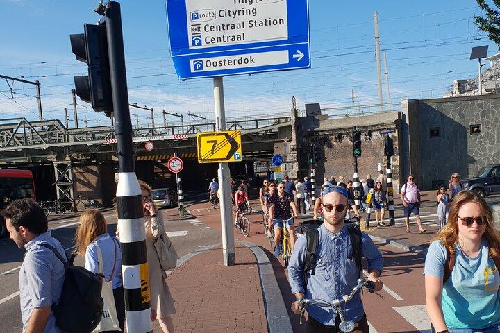 Private Minivan Sightseeing Tour in Amsterdam